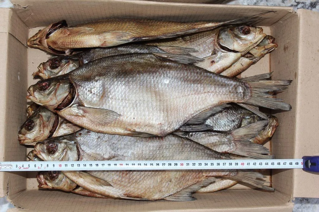 фотография продукта Цимлянская рыба от производителя